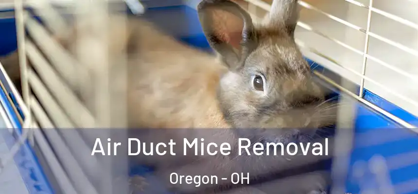 Air Duct Mice Removal Oregon - OH