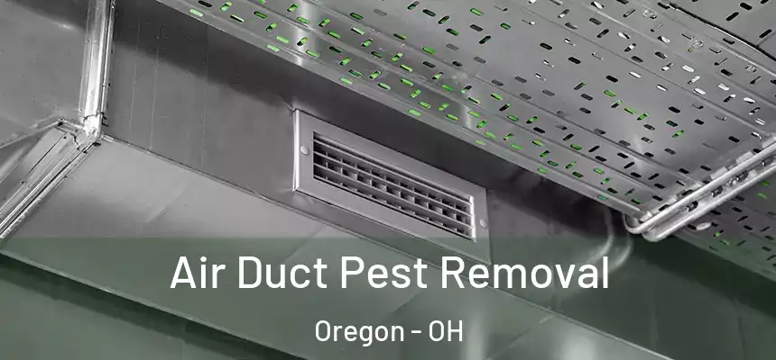 Air Duct Pest Removal Oregon - OH