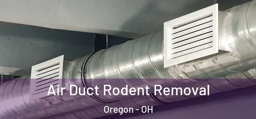 Air Duct Rodent Removal Oregon - OH