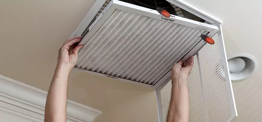 Preventive Cockroach-Proofing for Ducts in Oregon
