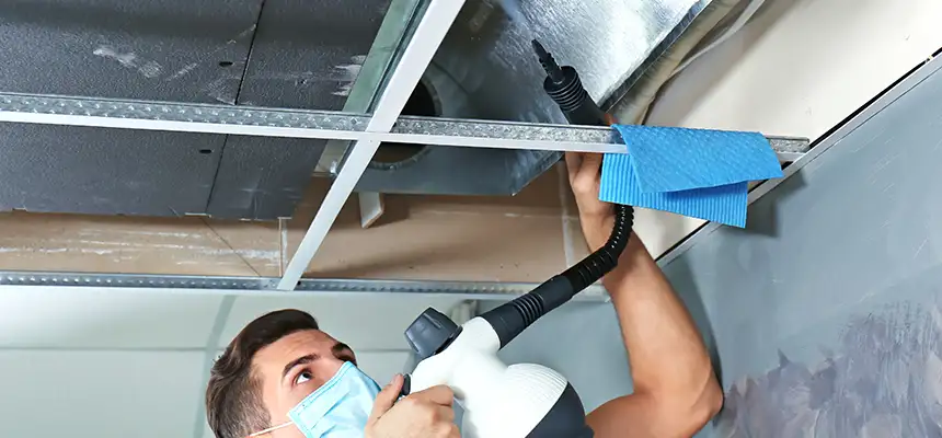 Our Air Duct Rodent Removal Services in Oregon, OH
