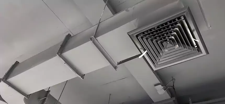 Restorative Allergy Relief Vent Cleaning – Coil, Blower & Housing Detail in Oregon