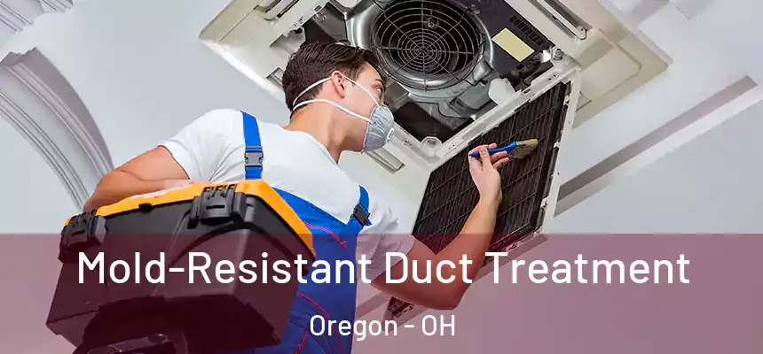 Mold-Resistant Duct Treatment Oregon - OH