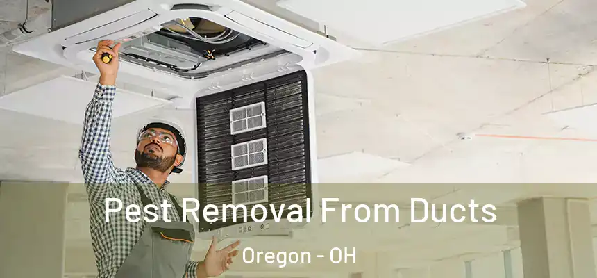  Pest Removal From Ducts Oregon - OH