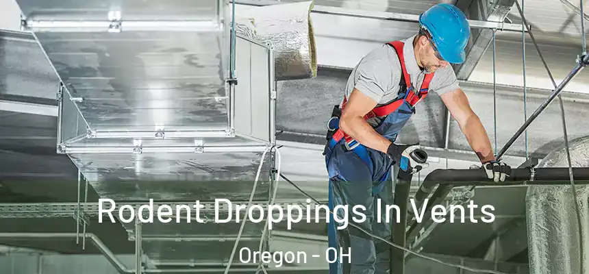  Rodent Droppings In Vents Oregon - OH
