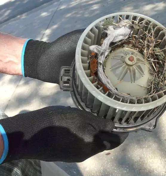 About Air Duct Mice Removal in Oregon, OH