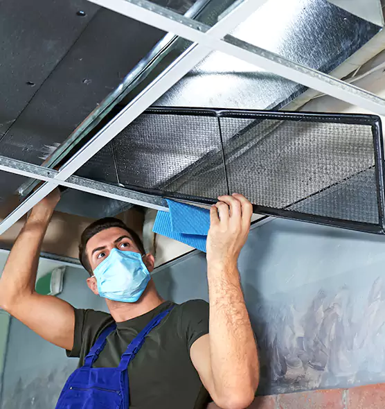 Professional Air Duct Pollen Cleaning in Oregon, OH