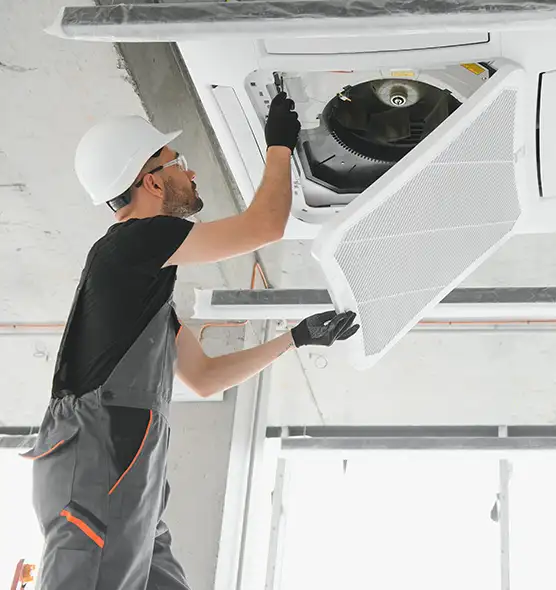 About Air Duct Rodent Removal in Oregon, OH