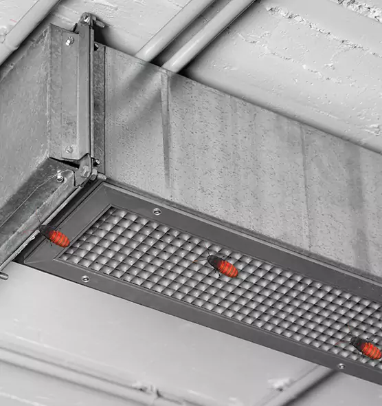 Affordable Insect Removal from Air Ducts in Oregon, OH
